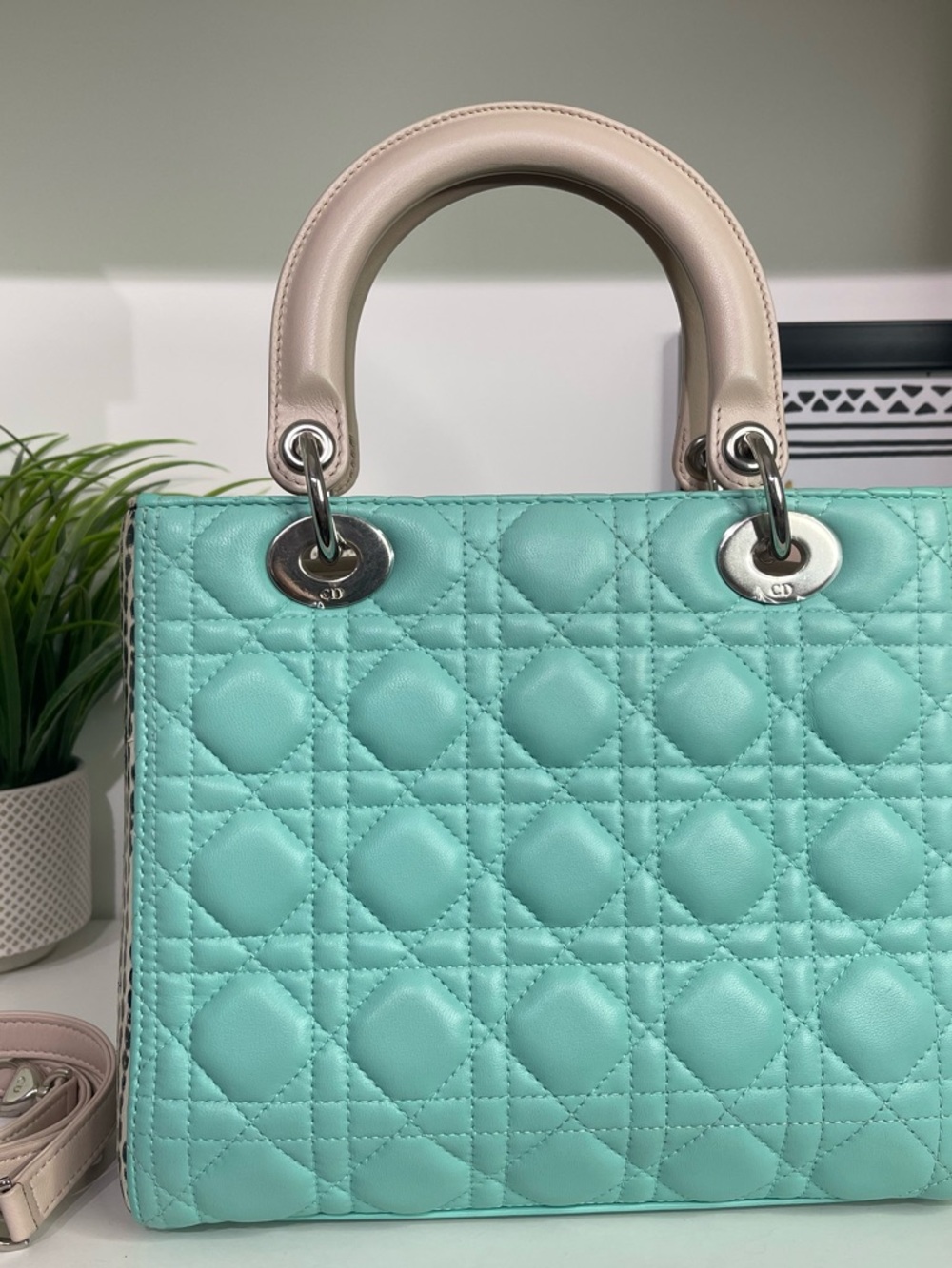 Dior Quilted Lady Dior Medium Python Silver Hardware - Picture 2 of 7